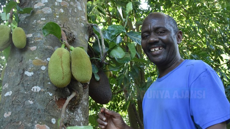 Zanzibar adası, yüzyıllardır baharatlarıyla dünya mutfaklarını lezzetlendiriyor