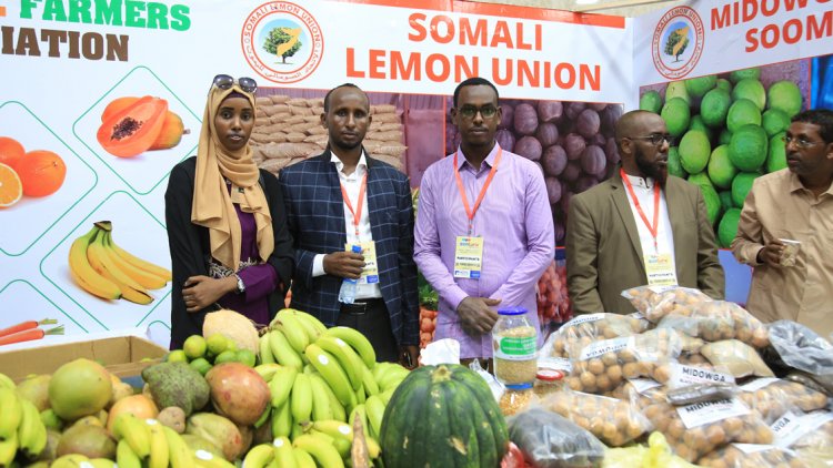 Somali'nin ilk tarım fuarı 'Somturk Agro Expo 2019' açıldı