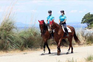 Kuşadası milli parkta atlı timler göreve başladı