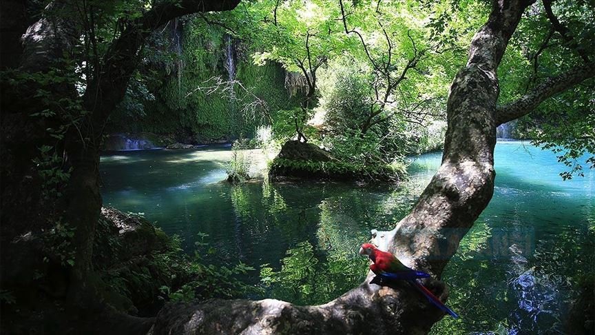 Antalya Kurşunlu Şelalesi doğal güzelliğiyle hayran bırakıyor