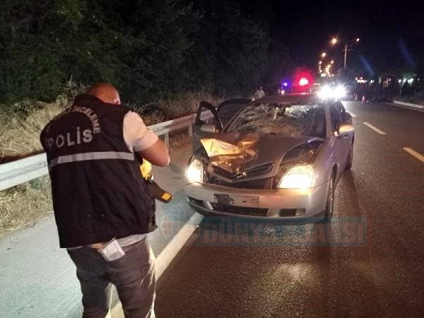 Gurbetçi kadın Türkiye’de kaza yaptı