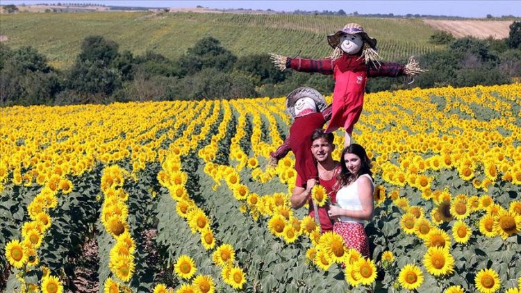 Trakya, eko turizmin yanı sıra agro turizmde de adından söz ettiriyor