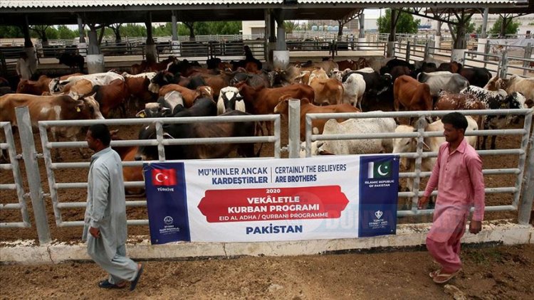 Türkiye Diyanet Vakfı, Pakistan'da 60 bin aileye kurban eti dağıttı