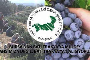 Batı Trakya tarımdaki yeni umudu olma kapsamında hızla yükseliyor