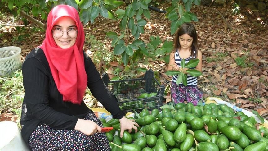 'Avokadocu Ayşe'nin temizlikçilikten patronluğa uzanan başarısı