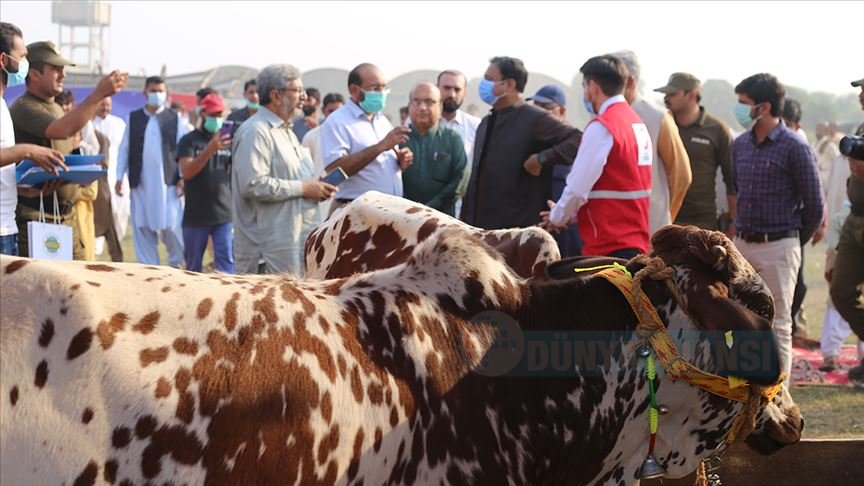 Türk Kızılaydan Pakistan'daki çiftçilerin kalkınmasına destek