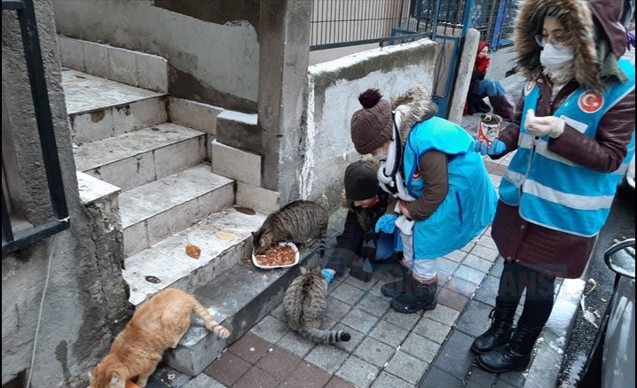 Bir Kap Yemek, Bir Kalp Sevgi