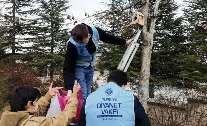 Diyanet'in genç gönüllüleri, sokak hayvanlarını unutmuyor