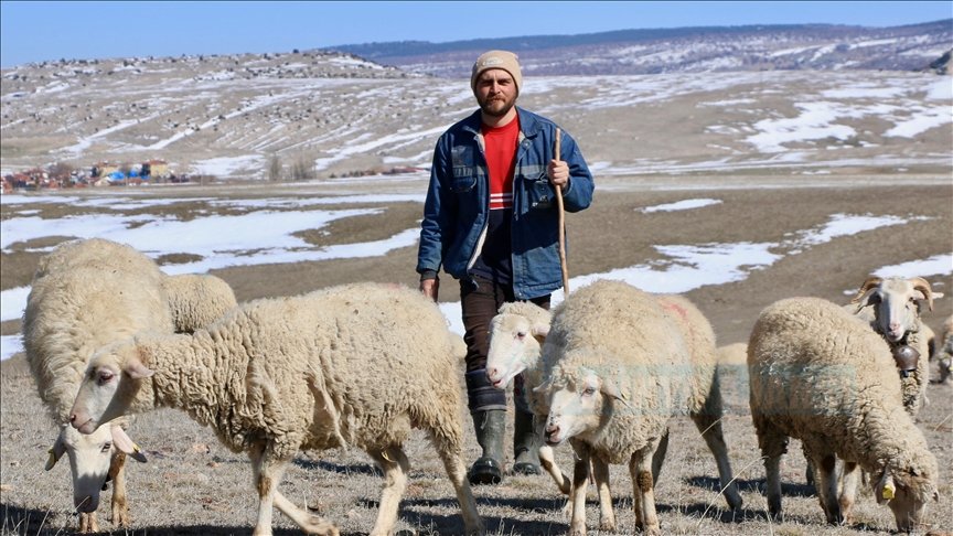 Sevdiği işi yapmak için avukatlık yerine çobanlığı tercih etti