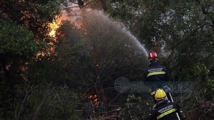 Yunanistan'da devam eden orman yangınlarına eleştiriler sürüyor