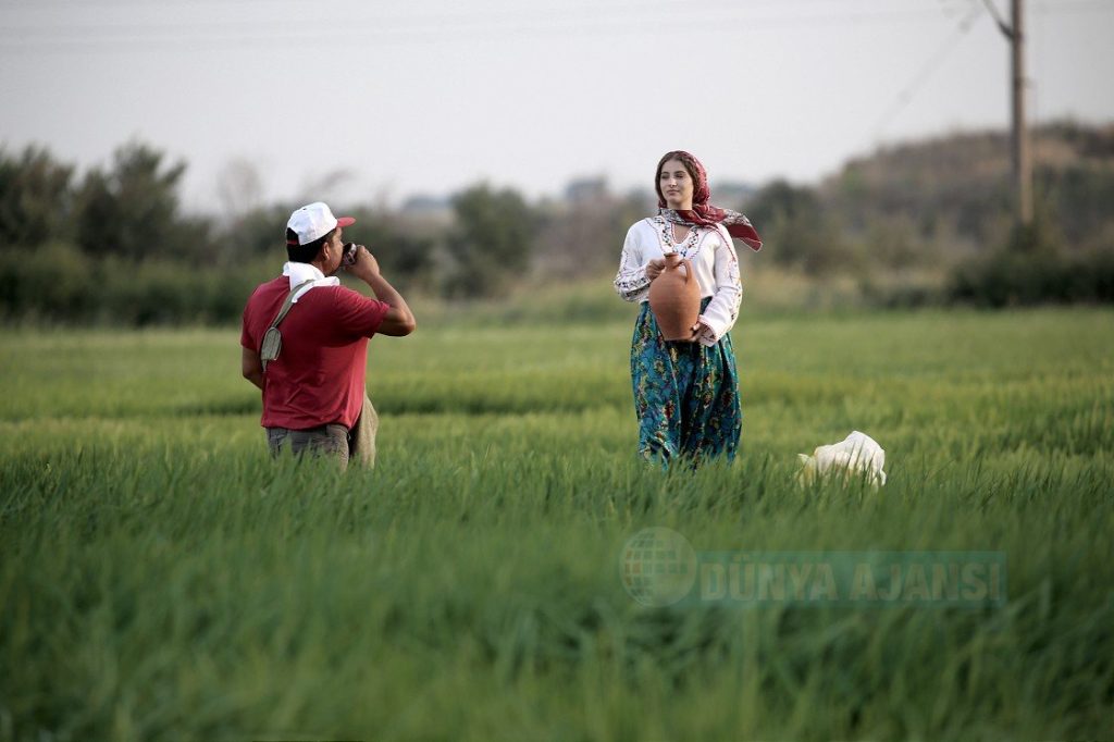 Çeltik tarlası fotoğrafçılara doğal stüdyo oldu