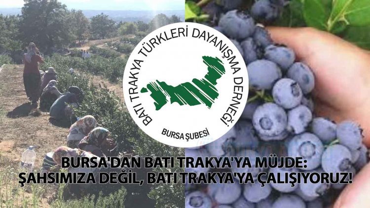 Batı Trakya tarımdaki yeni umudu olma kapsamında hızla yükseliyor