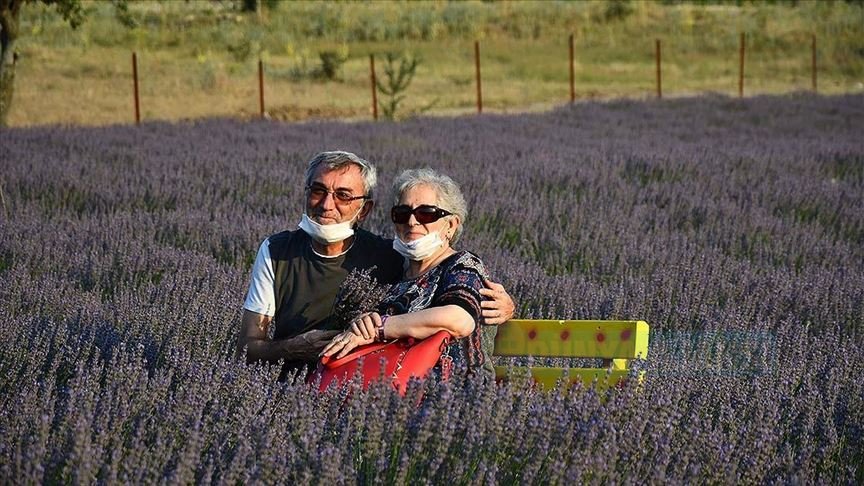 Mor ve yeşil renk tonları ve doğa dekoru ile lavanta bahçesi