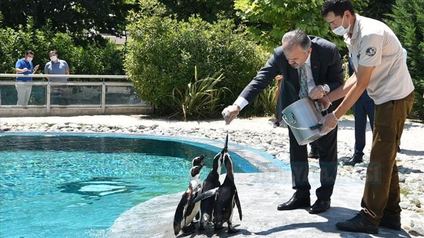 Bursa Hayvanat Bahçesi'nde yeni doğumlarla nüfus arttı