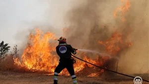 bati trakya da yangini panigi