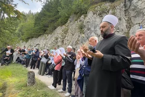 bosna koricanske de katledilen