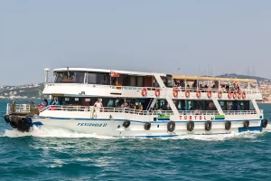 canakkale de yanginlar nedeniy