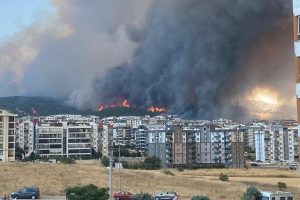 canakkale guzelyali yangini sa