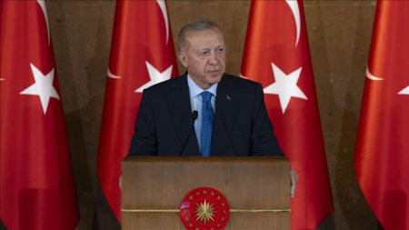 cumhurbaskani erdogan yurt dis