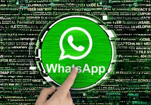 meta 6 8 milyon whatsapp hesab