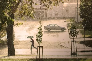 i stanbul da yagmur sonrasi tr