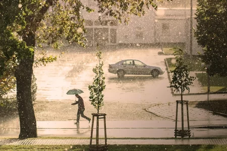 i stanbul da yagmur sonrasi tr