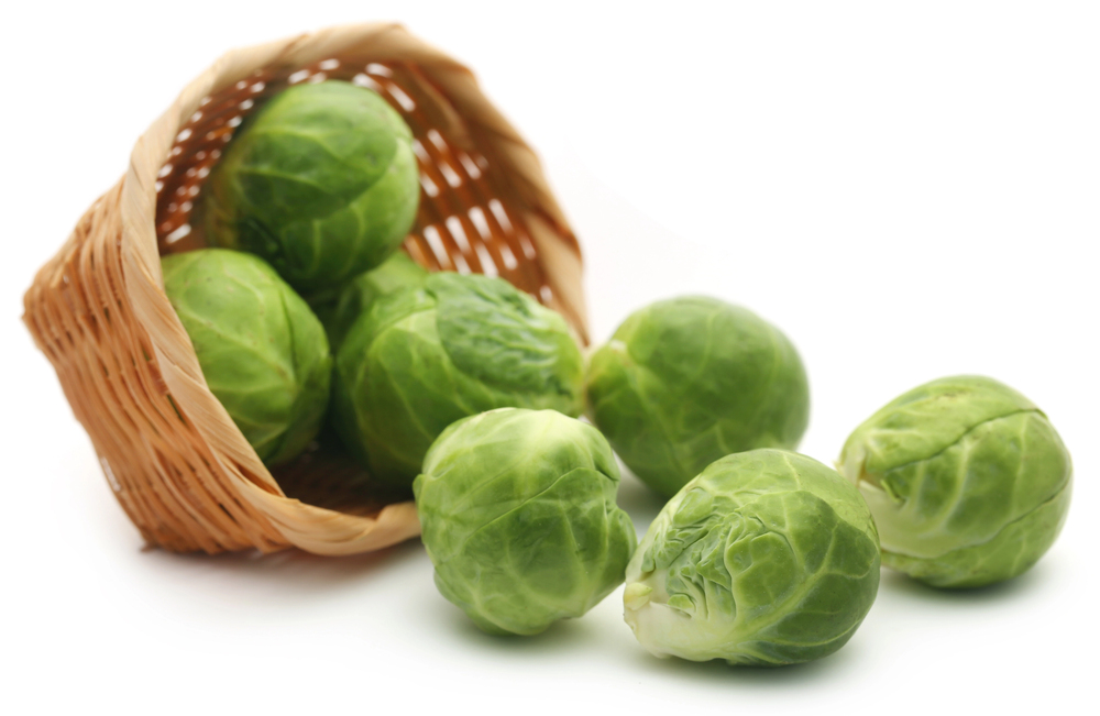 Brüksel lahanası fiyatları İznik’te geriledi